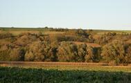 Standortvielfalt im Saaletal